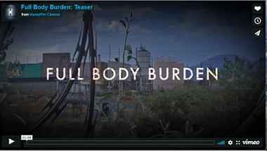 Full Body Burden Documentary (2)
